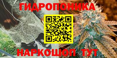 индика Апрелевка