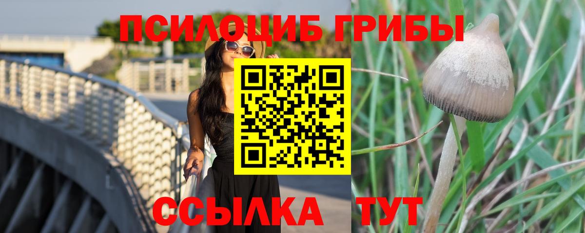 Галлюциногенные грибы ЛСД  Вход с VPN  Верхняя Пышма  Галлюциногенные грибы мухоморы 